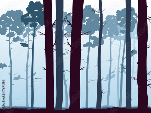 Naklejka na drzwi Horizontal illustration of pinewood forest.