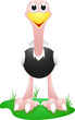 ostrich vector with simple gradient