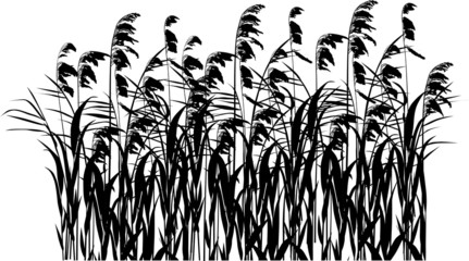Canvas Print - rush silhouettes isolated on white background