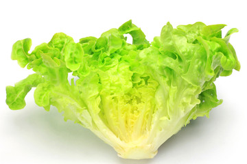 Canvas Print - one cut lettuce