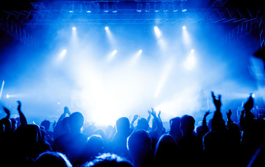 cheering crowd at concert