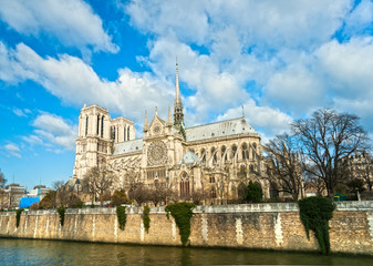 Fototapete - Notre dame de Paris, France.