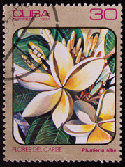 Postage stamp