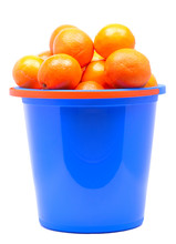 Fresh Tangerines In A Bucket