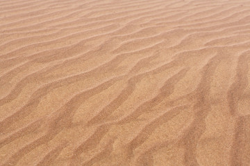  Désert de sable Namibien