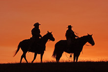Cowboys On Horseback Silhouette At Sunset