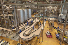 The Interior Of The Brewery. Conveyor