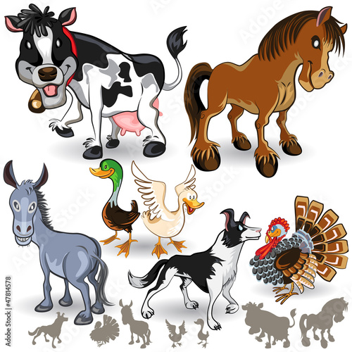 Obraz w ramie Farm Animals Collection Set 02