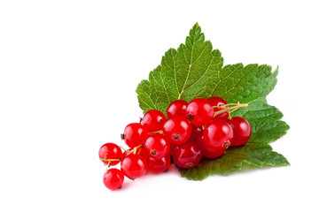 Canvas Print - red currant  with leaf isolated on white