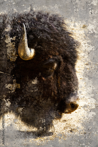 Naklejka na szafę American bison (Bison bison) Artistic portrait with textured bac