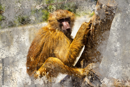 Fototapeta dla dzieci Artistic portrait with textured background, baboon