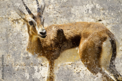 Naklejka na meble Artistic image with background texture, gazelle