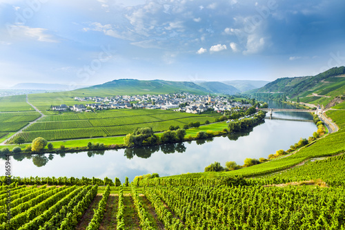 Obraz w ramie famous Moselle Sinuosity with vineyards