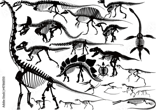 Fototapeta na wymiar Dinosaur Skeleton silhouette collection