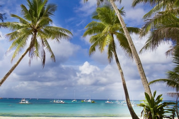 tropical seascape with blue sky and palm trees