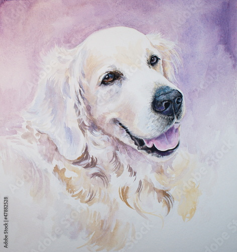 Naklejka ścienna Golden retriever-watercolors.