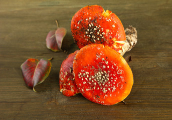 Fototapete - red amanitas, on wooden background