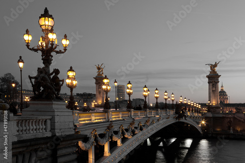 Nowoczesny obraz na płótnie Alexander III bridge, Paris, France