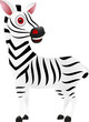 Illustration of Zebra vector