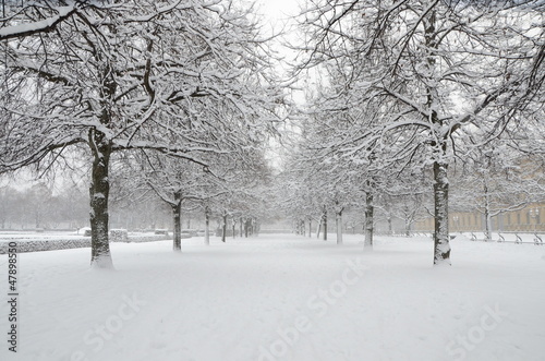 Foto-Schiebegardine ohne Schienensystem - Английский сад зимой (von nanofussbal)