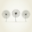 Three dandelions
