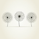 160_f_47907929_wnhfhniwrsyrqbgyyqfnvnrghdlu9x1v