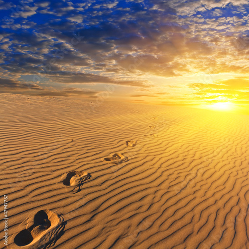 Fototeppich - evening sandy desert (von Yuriy Kulik)