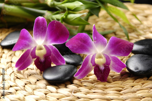 fioletowe-kwiaty-czarne-kamienie-do-masazu-zielony-bambus-tropikalne-spa