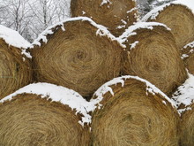 Hay Bales In Winter