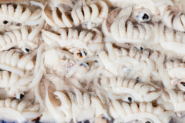 Wall Mural - Fresh squid ready for sale in Thai street market.