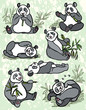 Set of cartoon panda