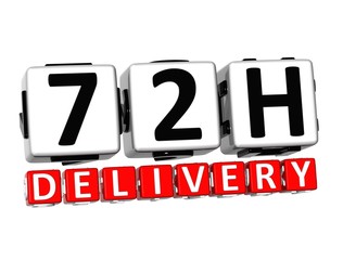 Poster - 3D Seventy Two Hour Delivery Button Click Here Block Text