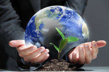 green plant on earth