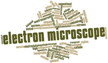 Word Cloud For Electron Microscope