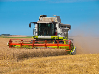 Sticker - combine harvester