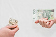 Polski złoty