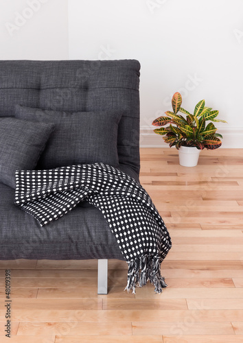 Fotografía Gray sofa and bright plant in the living room