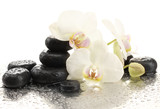 Fototapeta Łazienka - Spa stones and orchid flowers, isolated on white.