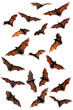 Spooky Halloween fruit bats