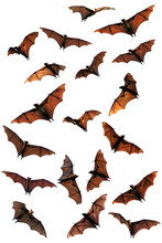 Spooky Halloween Fruit Bats