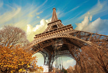 Wonderful Street View Of Eiffel Tower And Winter Vegetation - Pa