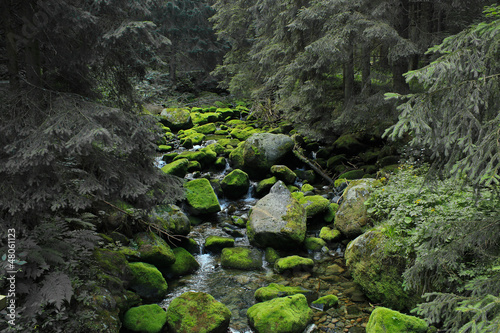 Krajobraz górski