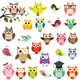 Fototapeta Fototapety na ścianę do pokoju dziecięcego - set of owls