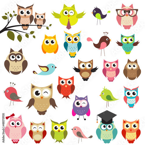 Tapeta ścienna na wymiar set of owls