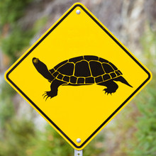 Attention Turtles Crossing Animal Road Sign