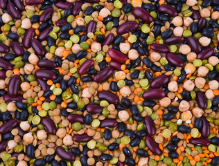 Wall Mural - kidney bean, lentil, peas and chick-pea