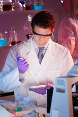 Fototapete - Researcher pipetting in laboratory.