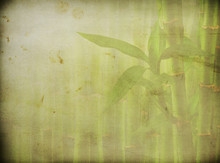 Grunge Bamboo Background