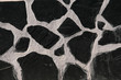 © Wolfgang Berroth - Mauer mit Fugen