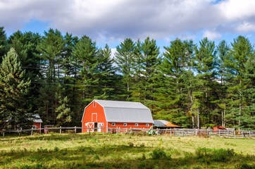 Wall Mural - A Red Barn in Countryside